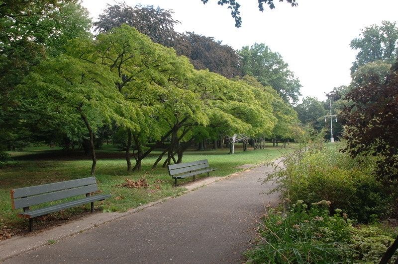 Kissena Park